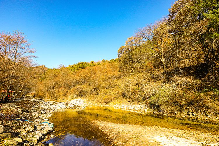 숲과 계곡 스팟